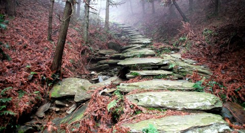 茶马古道