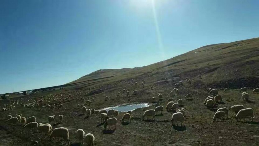 川藏线旅游