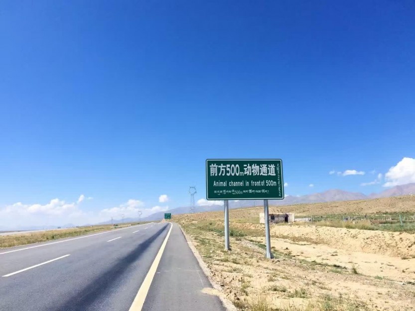 新藏线旅游线路