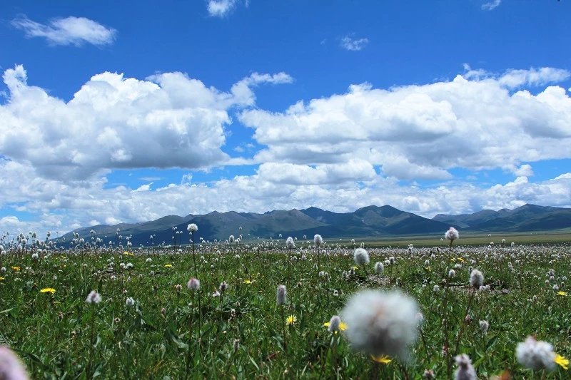 川藏线风景