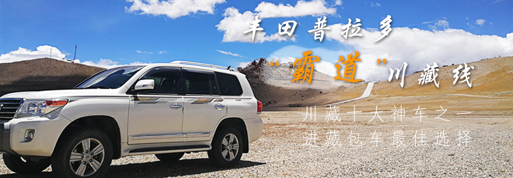 丰田普拉多包车