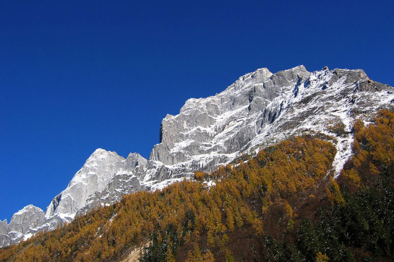 四姑娘山旅游特产