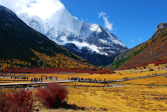 稻城亚丁秋景