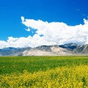 日喀则  西藏旅游不容错过之地