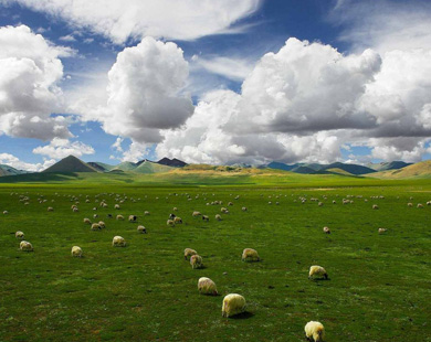 西藏旅游景点推荐