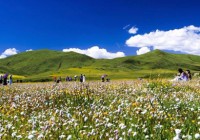 红原、若尔盖的最佳旅游时间