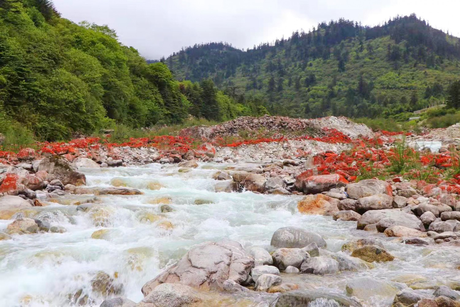 微信图片_2021012010491712 微信图片_2021012010491712