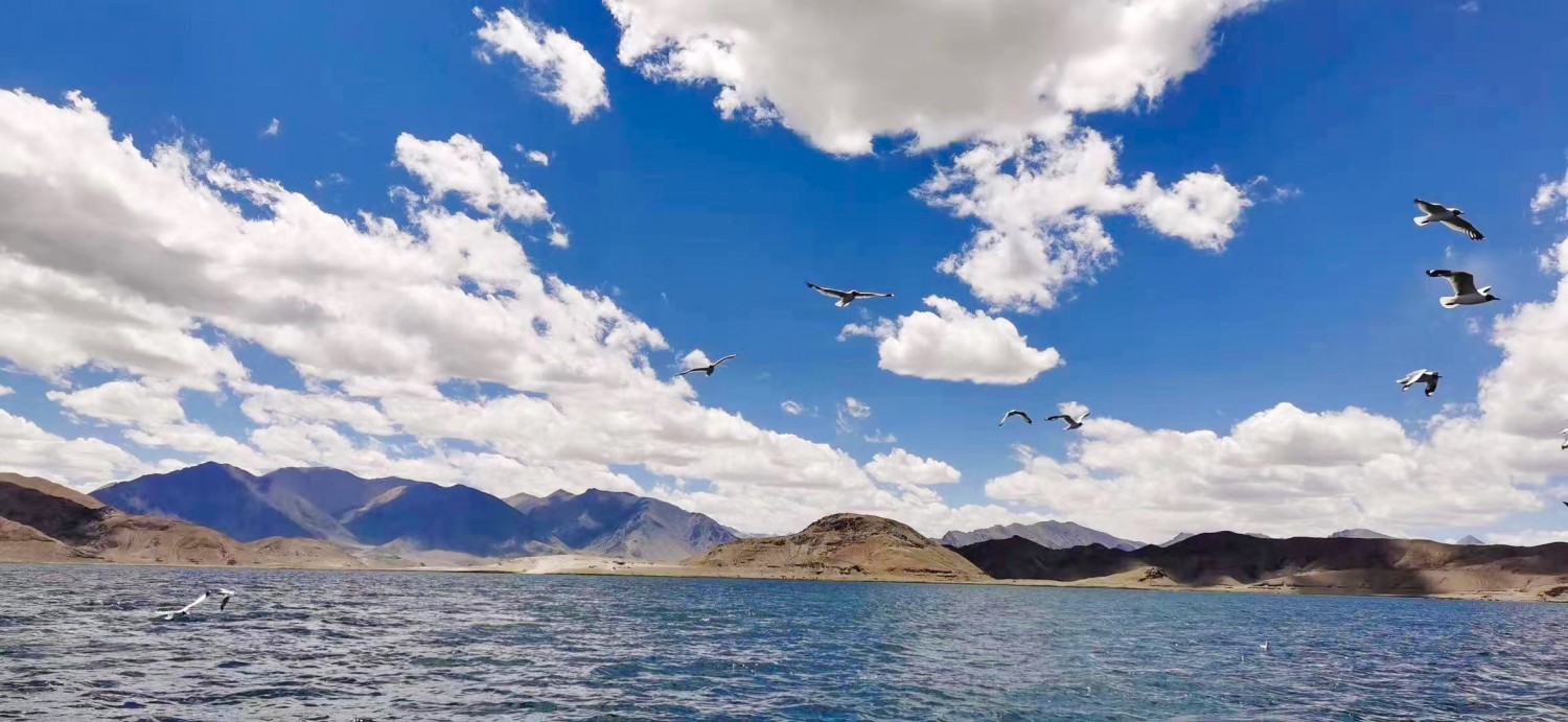 微信图片_202101201049173 微信图片_202101201049173