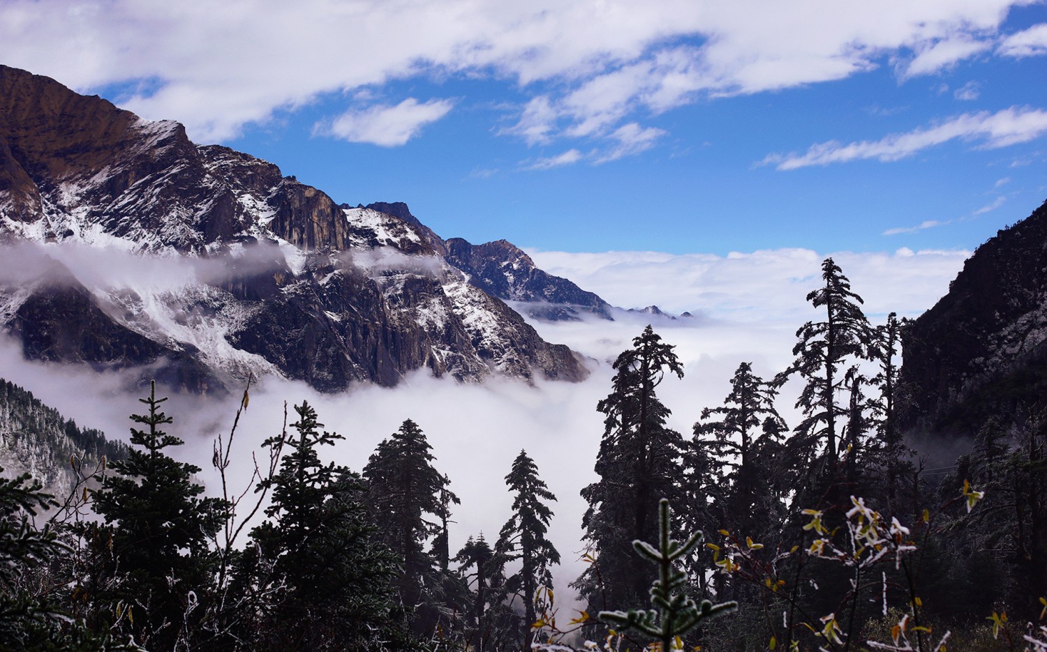 微信图片_20210121122709 微信图片_20210121122709