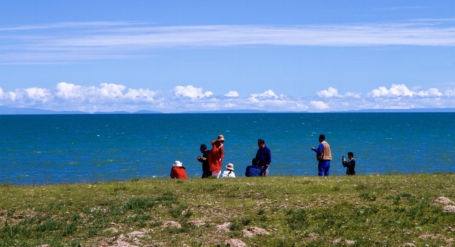 微信图片_20210121123941 微信图片_20210121123941