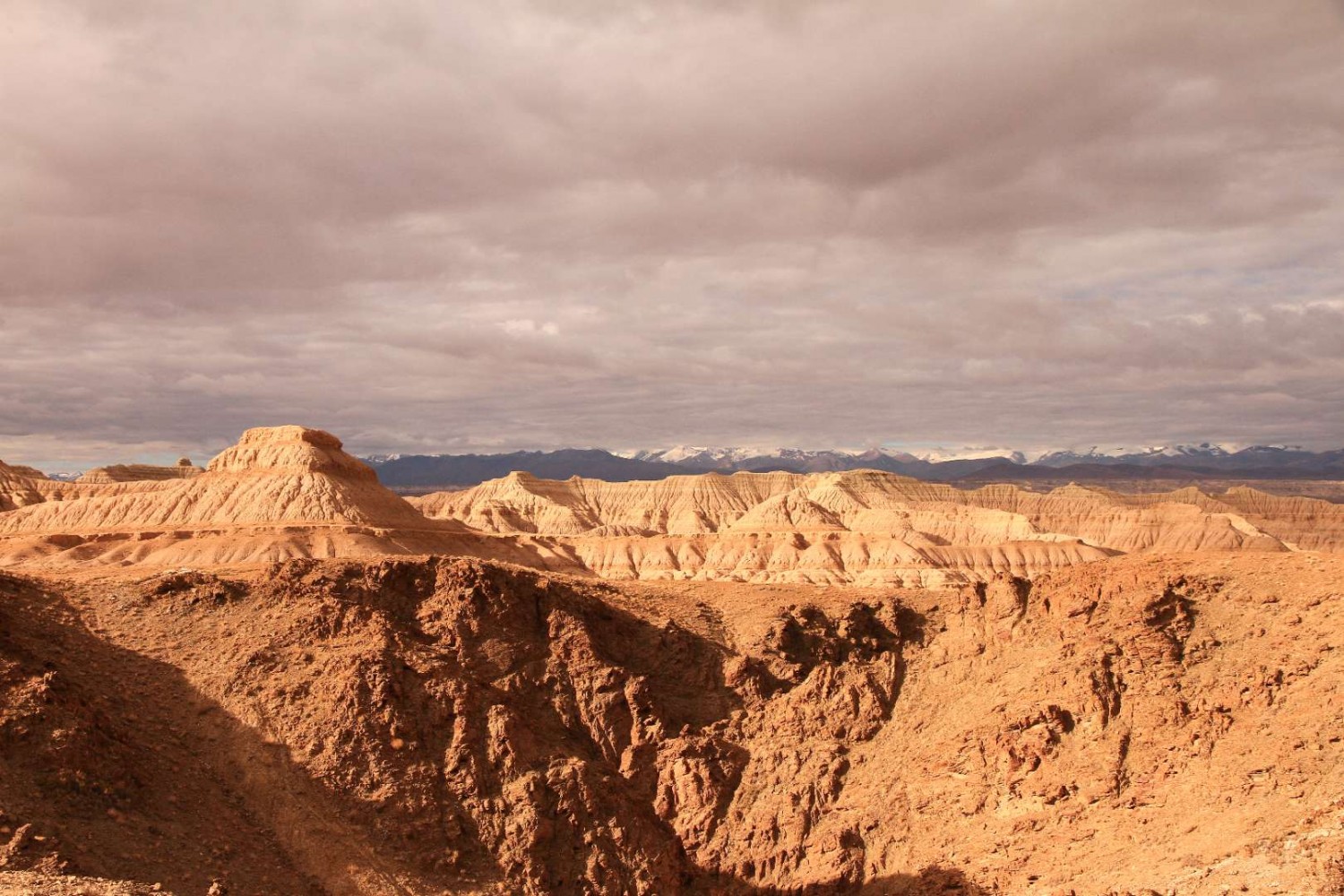 微信图片_20210121123721 微信图片_20210121123721