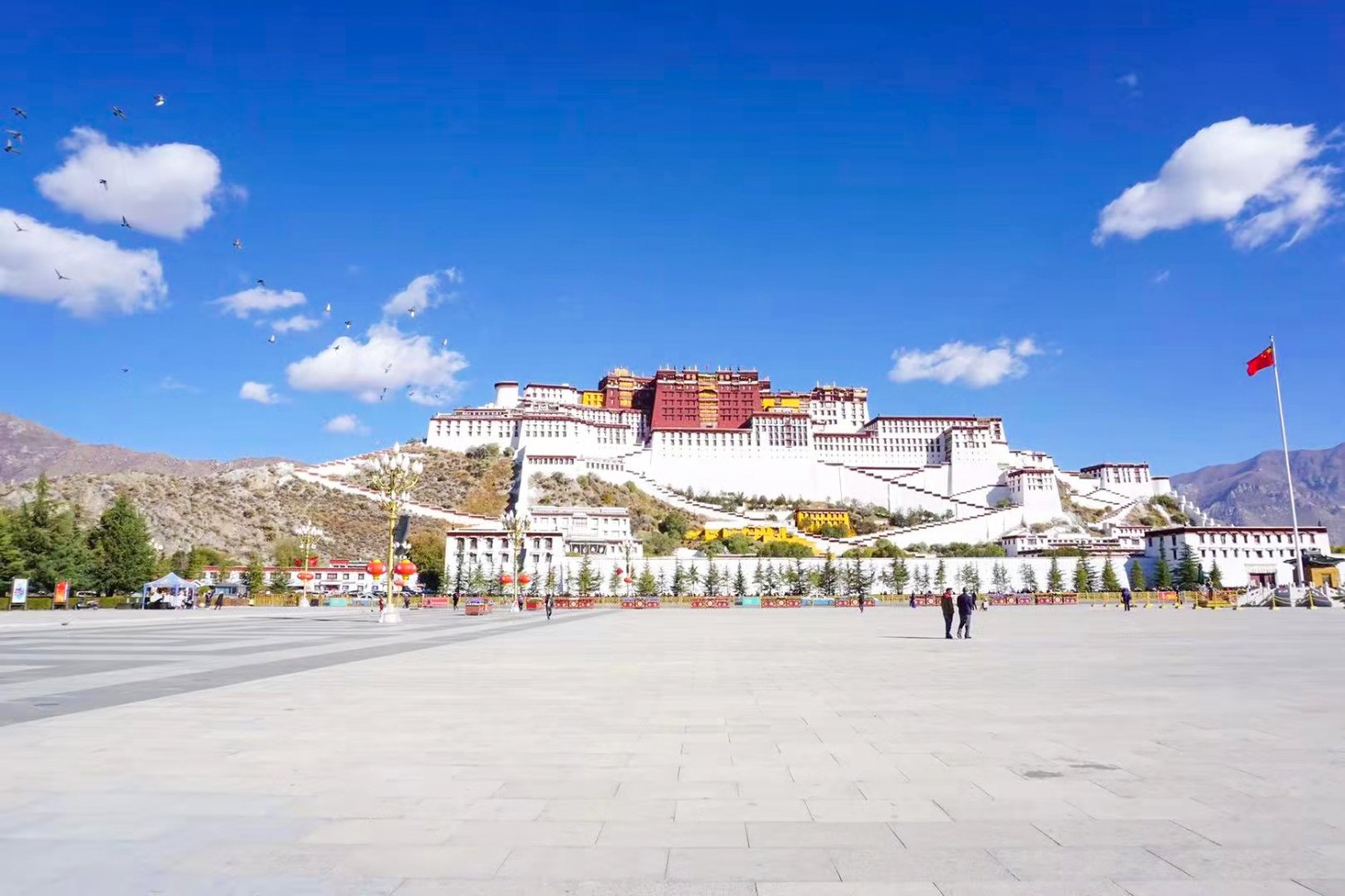 微信图片_2021012010491715 微信图片_2021012010491715