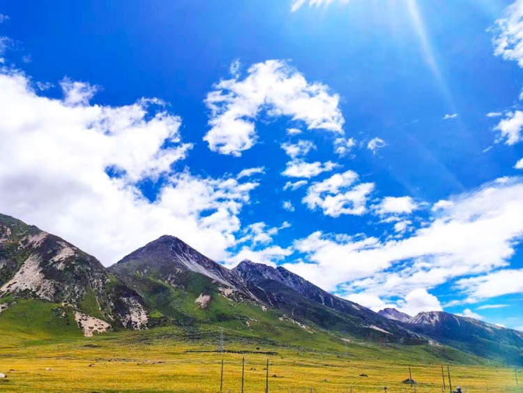 微信图片_2021012010542765 微信图片_2021012010542765