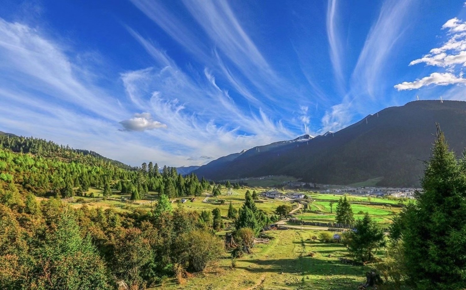 微信图片_20210121123326 微信图片_20210121123326