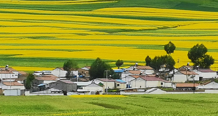 川藏南线地图