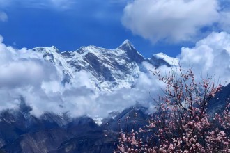 【2026藏地春日纪行】11天漫游林芝桃花海，邂逅金川梨花雪