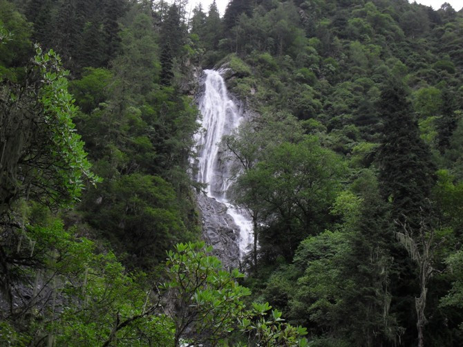 四姑娘山景点春天春之绿