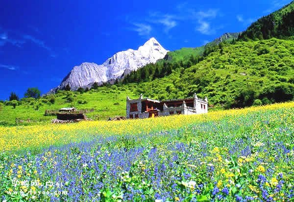 四姑娘山景点春天图片