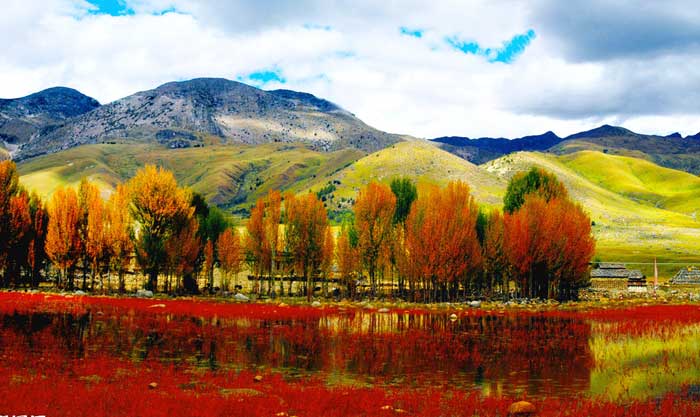 稻城亚丁在哪里?-稻城亚丁旅游网