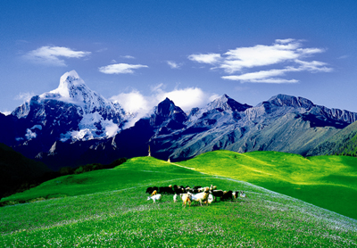上海到四姑娘山旅游建议