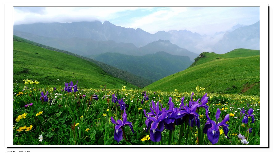 成都到四姑娘山旅游建议