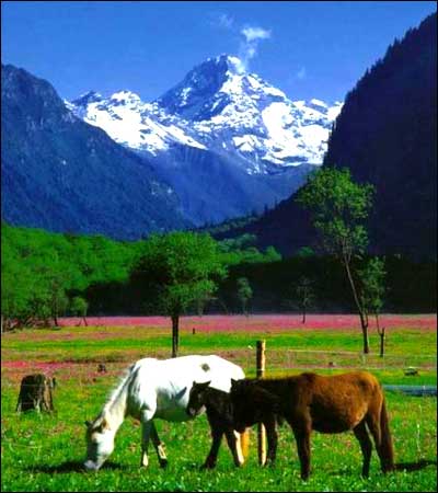 四姑娘山：让你一脚踏进春天里
