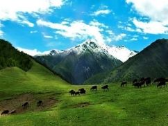 四姑娘山最佳观景地