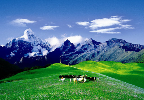 四姑娘山的四大峰