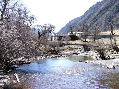 四姑娘山旅游之长坪沟