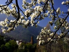 3月8日丹巴、四姑娘山2015火爆开团