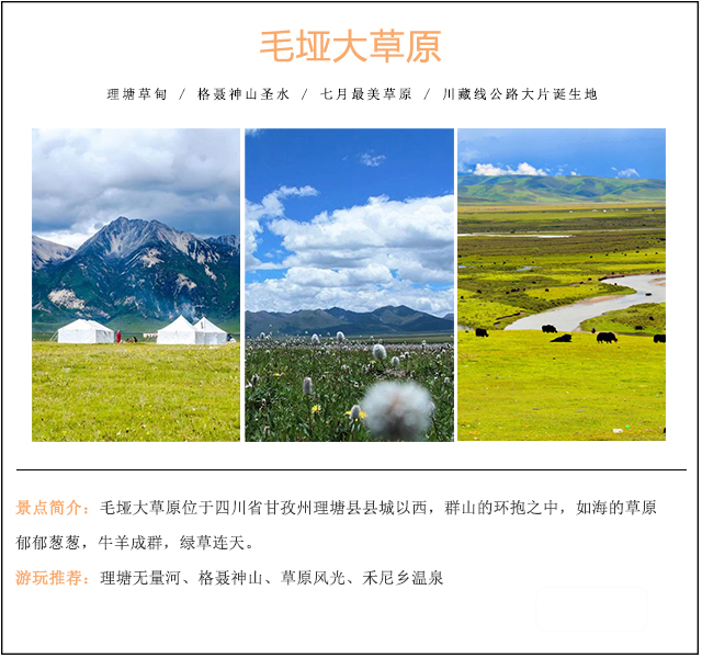 毛垭草原封面
