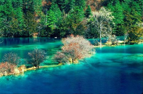 九寨沟旅行 翠海值得一观-西行川藏